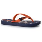 chinelo-infantil-ipanema-disney-azul-27064-2-.jpg