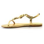 sandalia-rasteira-feminina-suzzara-dourado-4320-10533-5-.jpg