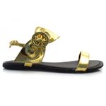 sandalia-rasteira-de-courofeminina-suzzara-dourado-487-7726-3-.jpg
